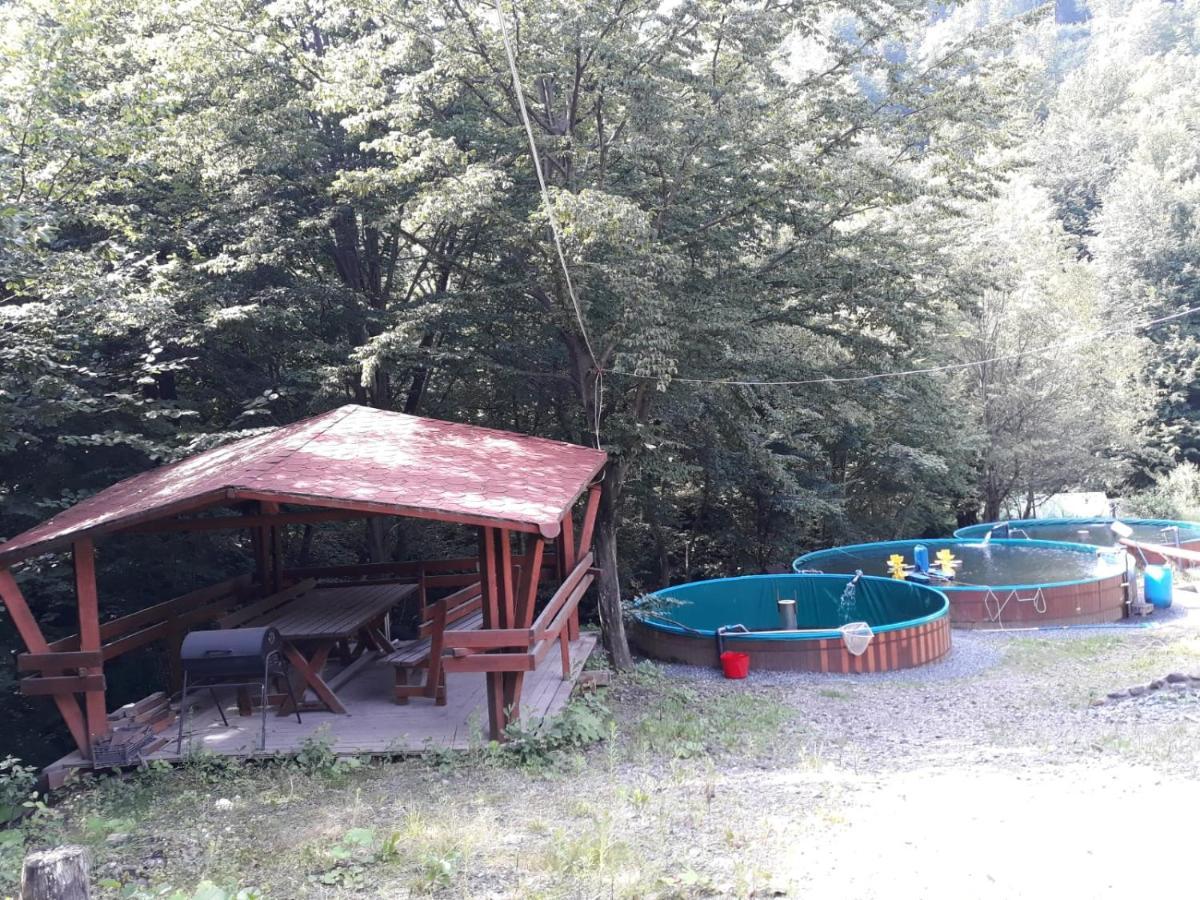 Cabana Alpha Nagybánya Kültér fotó