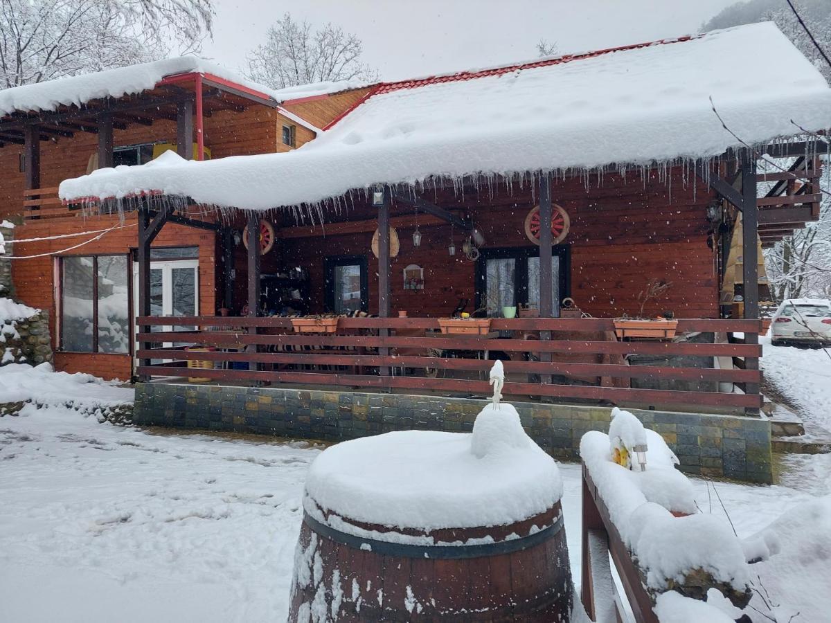 Cabana Alpha Nagybánya Kültér fotó