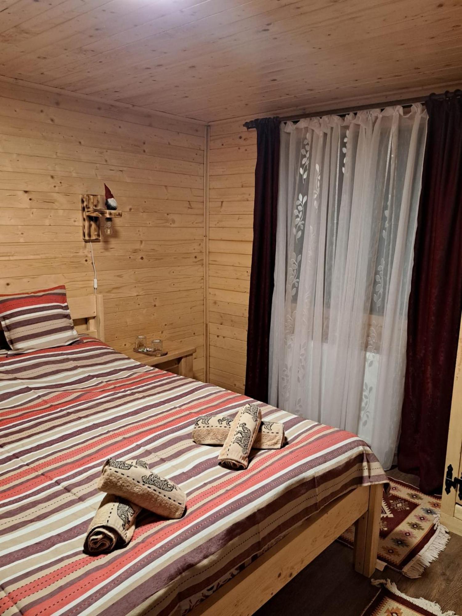 Cabana Alpha Nagybánya Kültér fotó
